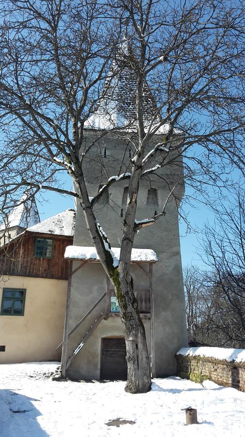 Casa Marcus Apartment Sighisoara Exterior photo
